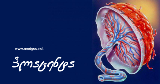 პლაცენტა