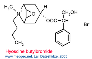 Hyoscine butylbromide