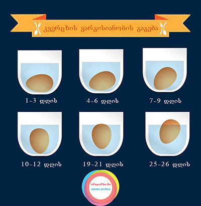 კვერცხი